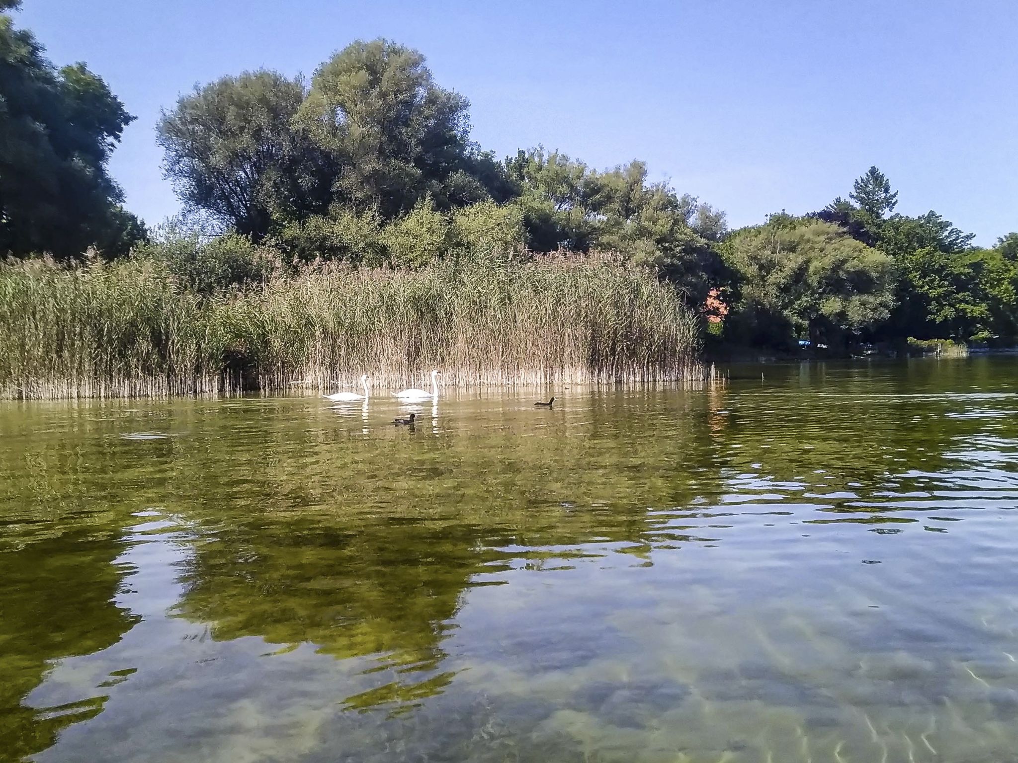 Kajaktour Ammersee Stegen 25.09.2021